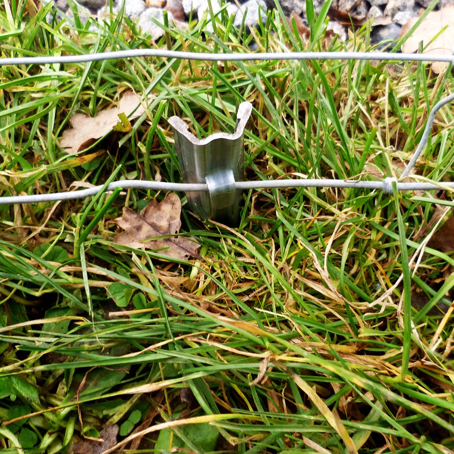 Aquagart Zaunanker 50cm im Gras befestigt Wildzaun. W-Profil Erdanker für stabilen Zaunbau.