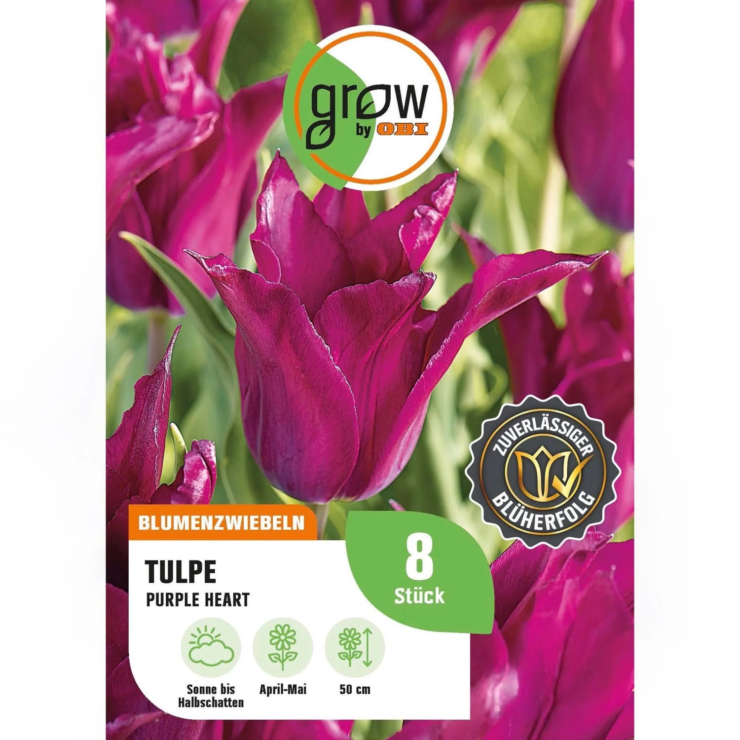 GROW by OBI Tulpe Purple Heart Lila 7 Stück Tulipa lily flowering Purple Heart