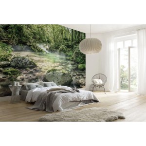 Komar Fototapete Riverbed Grün (368x254 cm) im Schlafzimmer, Bachlauf mit Moos.