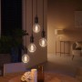 Philips Hue Filament Lampe E27, warmweiß bis kaltweiß, im Vintage-Look in Wohnraum.
