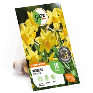 Gelbe Narzisse Tete-a-Tete von GROW by OBI, Blumenzwiebeln für Frühling.