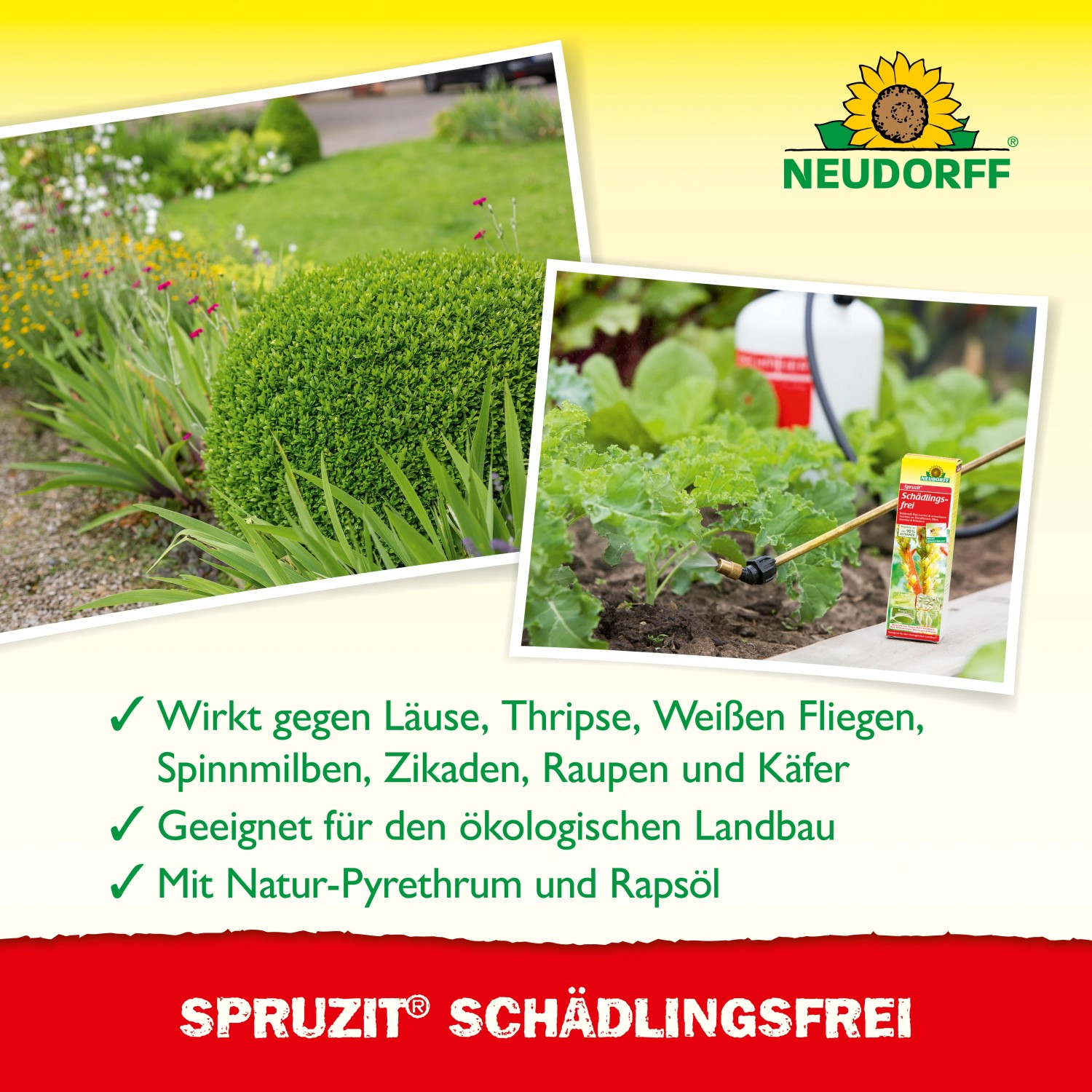 Neudorff Spruzit Schädlingsfrei 250ml: Spritzmittel gegen Blattläuse und andere Schädlinge im Garten.