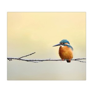 Banjado Herdabdeckplatte Glas mit Eisvogel Motiv, 60x52cm, auch als Schneidebrett nutzbar.