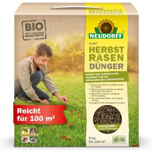 Neudorff Azet Herbst-Rasendünger 5 kg im Karton mit Kind auf Rasen. Herbstdünger für einen widerstandsfähigen Rasen.