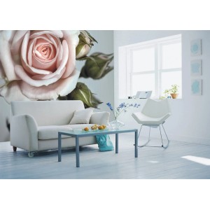 Fototapete Rosen (Rosa, Grün, Grau) im Wohnzimmer, Sanders & Sanders, 360x270 cm.