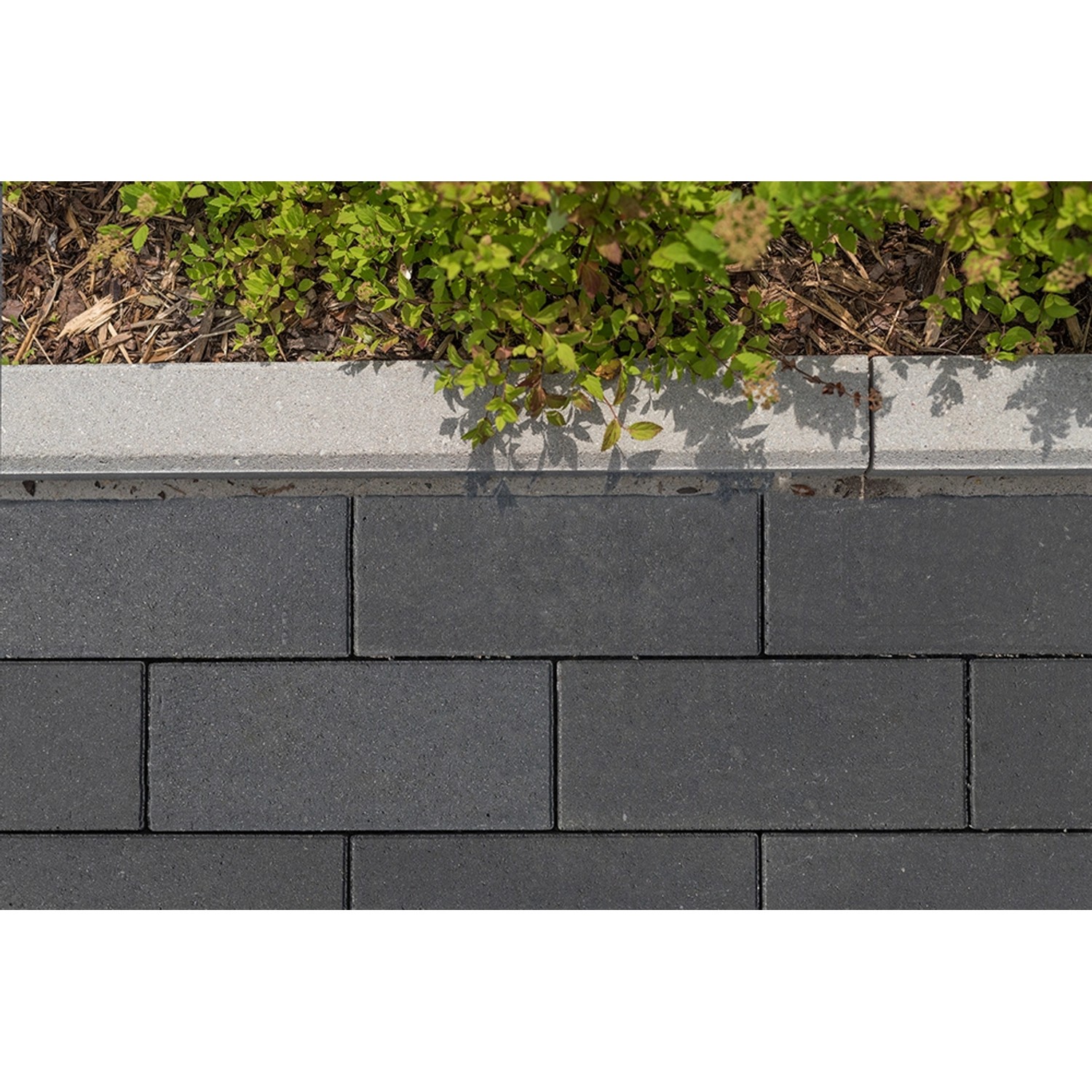 Diephaus Pflasterstein Mileo Basalt mit Glimmer, 40x20x8 cm, für Terrasse und Hofeinfahrt.