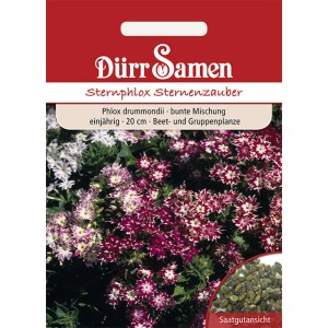 Dürr Samen Sternphlox Mischung, einjährig. Bunte Phlox drummondii für Beet und Gruppen.