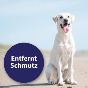 Canosept Ohrreiniger für Hunde, 125ml Flasche. Reinigt Hundeohren schonend und entfernt Schmutz.