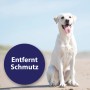 Canosept Ohrreiniger für Hunde, 125ml Flasche. Reinigt Hundeohren schonend und entfernt Schmutz.