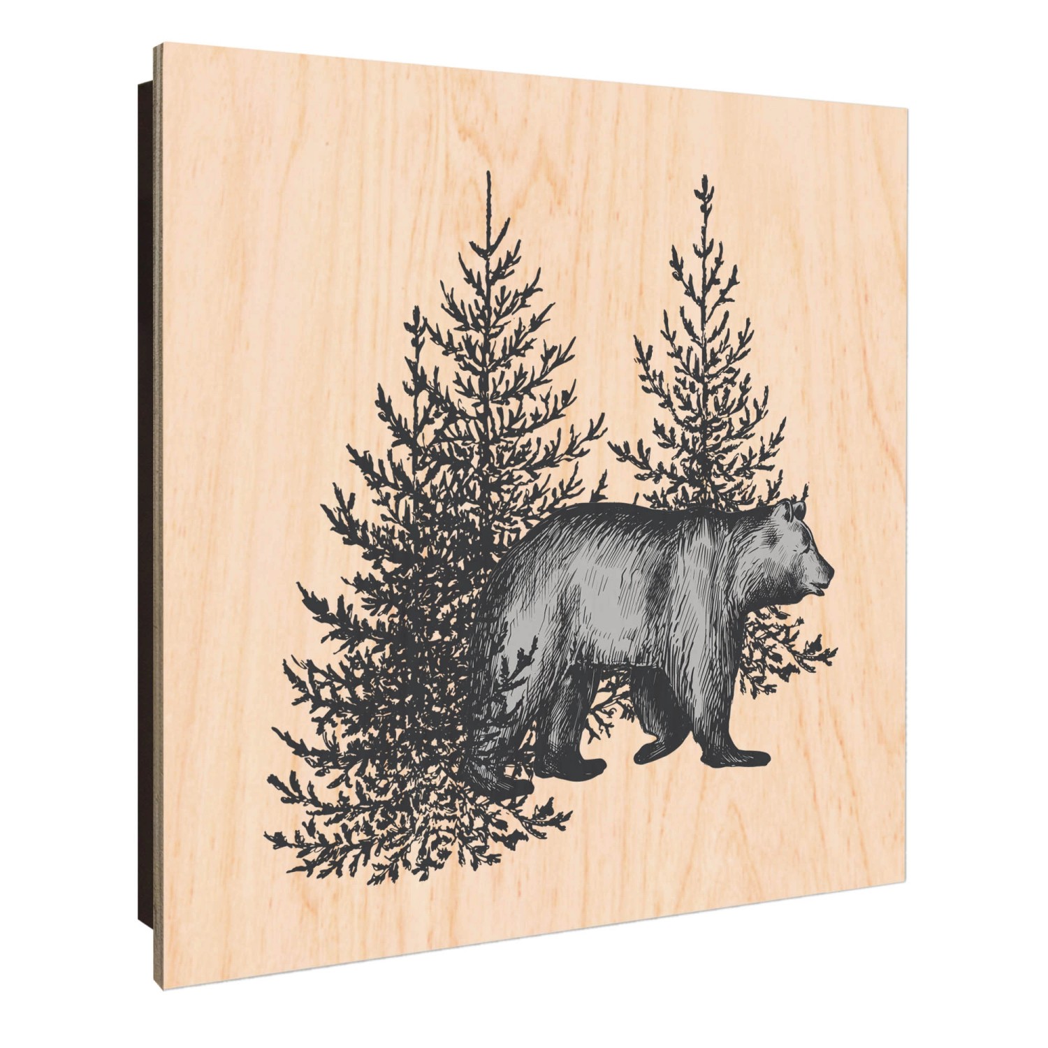 Banjado Großer Schlüsselkasten Holz 30x30cm Schwarz Scharnier Links 50 Hake günstig online kaufen