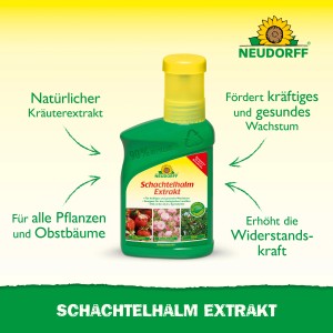 Neudorff Schachtelhalm Extrakt 250ml: Pflanzenstärkung für gesundes Wachstum und Widerstandskraft.