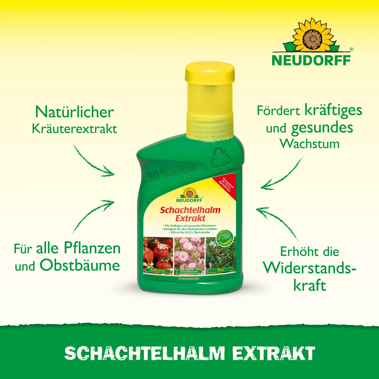 Neudorff Schachtelhalm Extrakt 250ml: Pflanzenstärkung für gesundes Wachstum und Widerstandskraft.