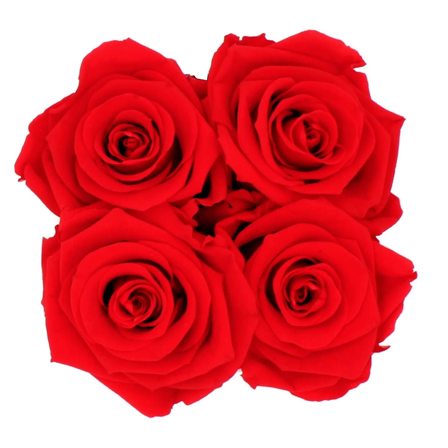 Eckige, schwarze Rosenbox mit Schleife und 4 roten Rosen. Romantischer Blumenstrauß.