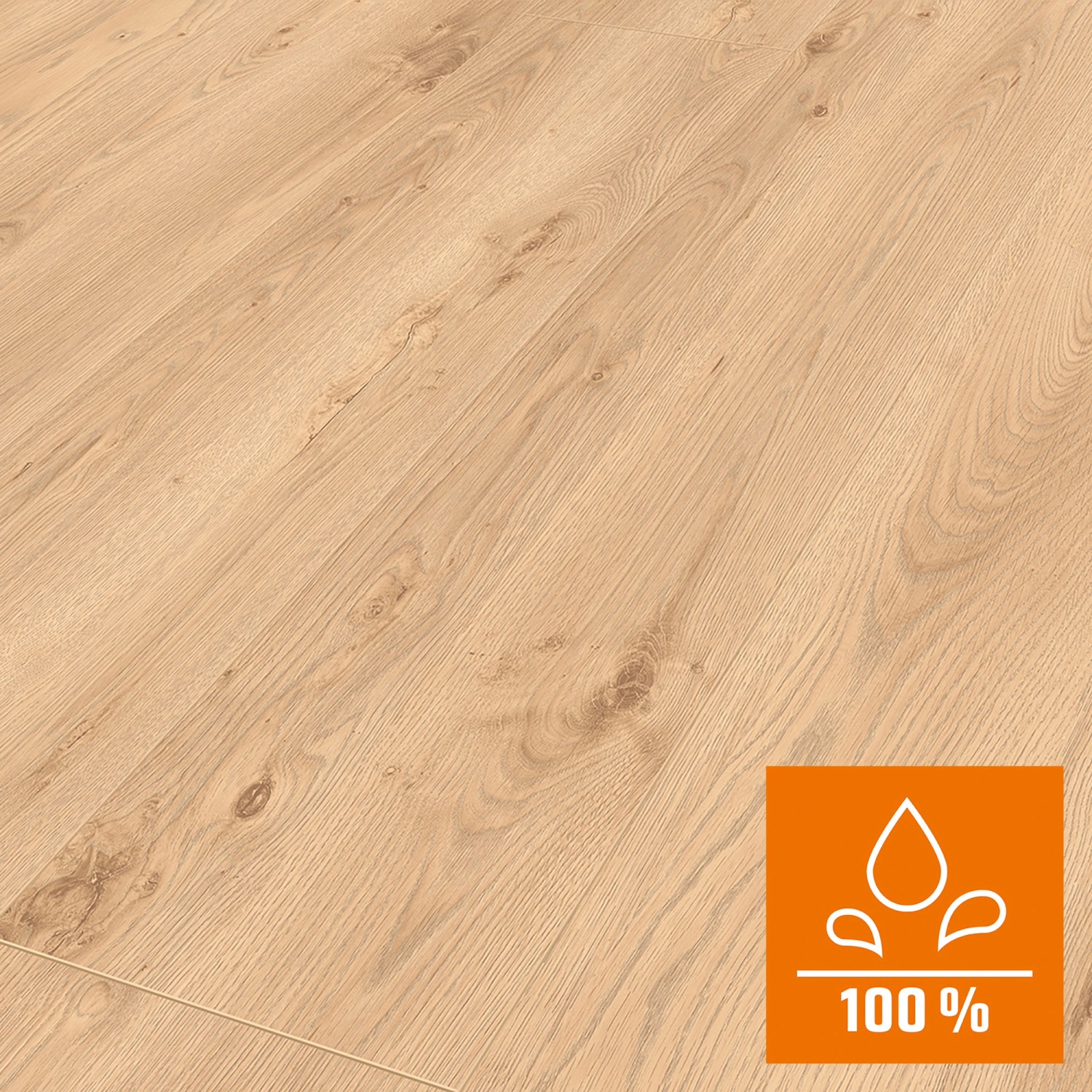 Classen Laminatboden Eiche Natur NKL 32 günstig online kaufen