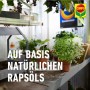 Compo Blattlaus-frei AF Bio: Pflanzen und Kräuter geschützt im Gewächshaus, basierend auf natürlichem Rapsöl.