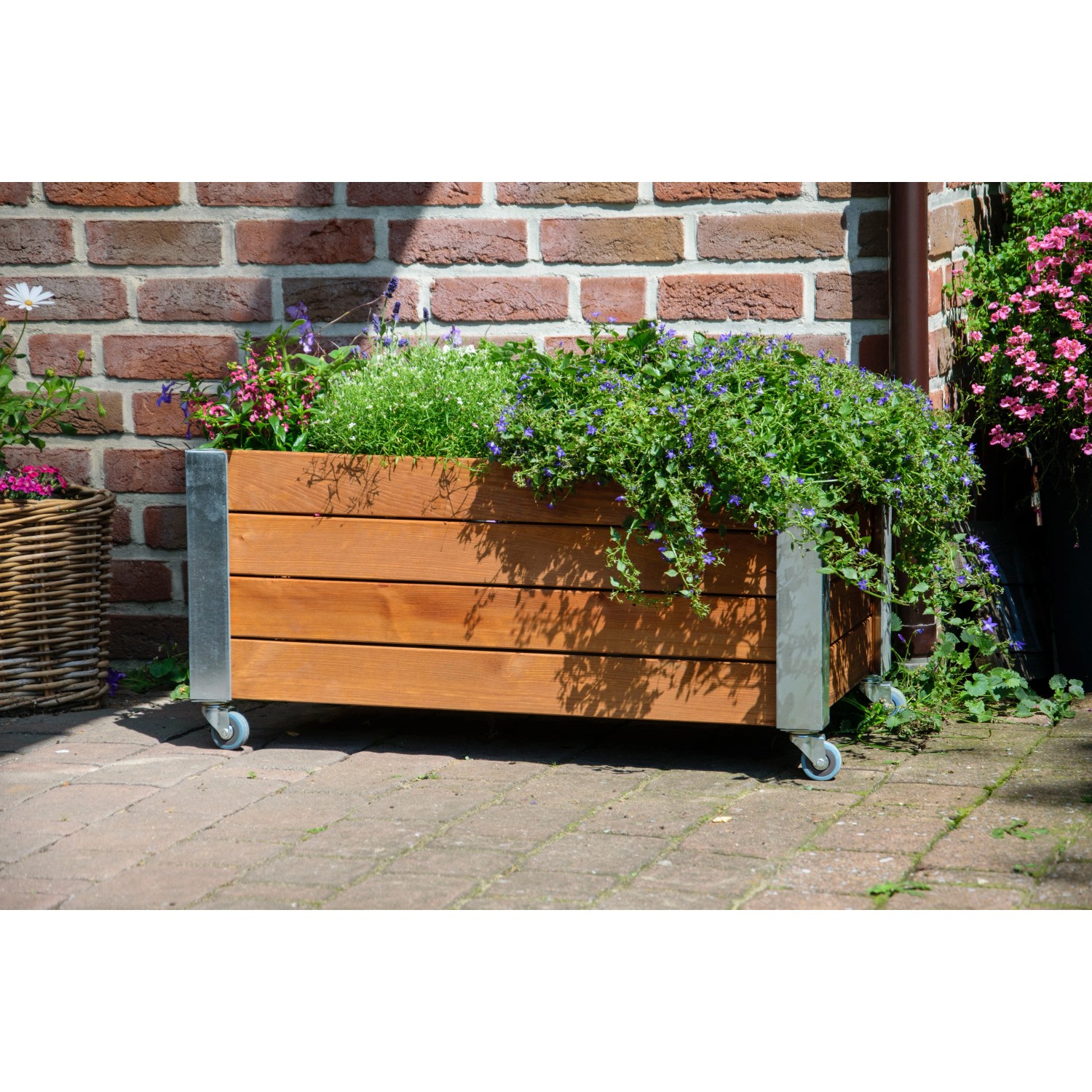Braunes Dobar Hochbeet Rollfi aus Holz mit Rollen und Pflanzen vor einer Backsteinmauer.