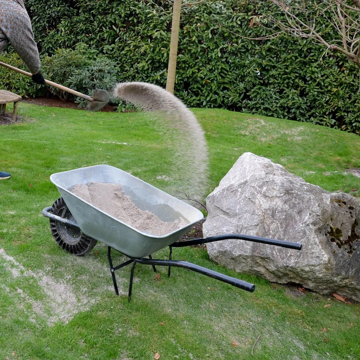 Person schaufelt hellgrauen Galamio Rasensand in Schubkarre; Garten mit Gras, Buschwerk.