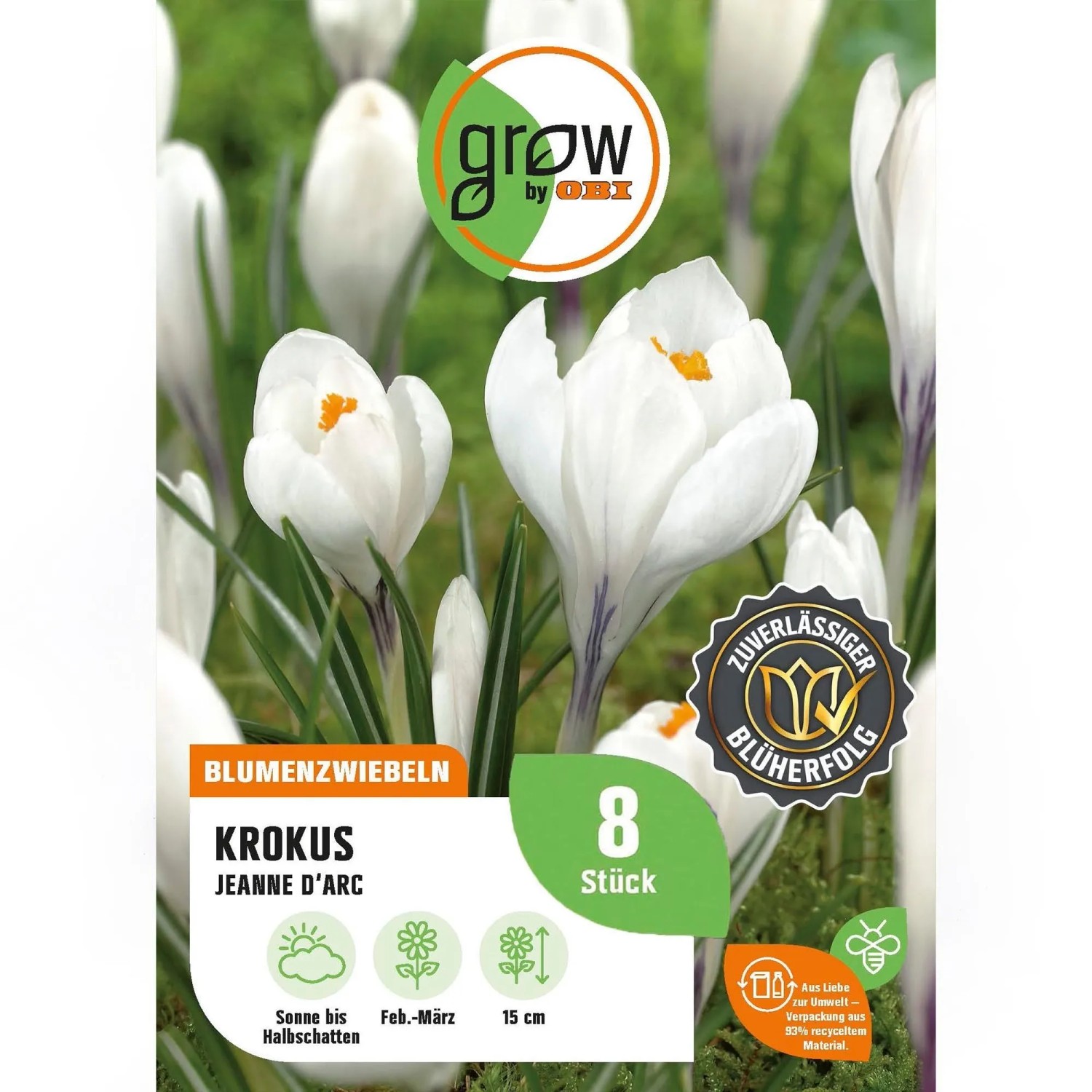 GROW by OBI Krokus Jeanne d'Arc Weiß 8 Stück Crocus vernus Jeanne d'Arc