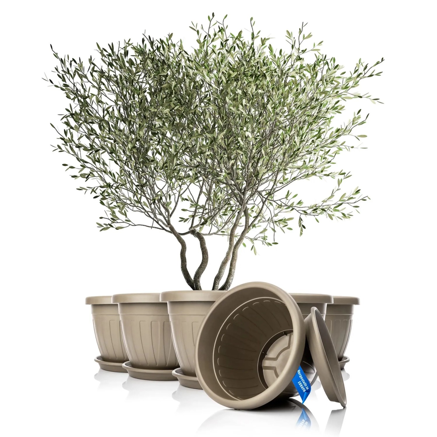 BigDean 6x Blumentopf Mit Untersetzer Rund ø50xH38 Cm Mokka Braun Wetterfester Pflanzkübel Wasserablauf UV Beständig Aus Bruchsicherem Kunststoff