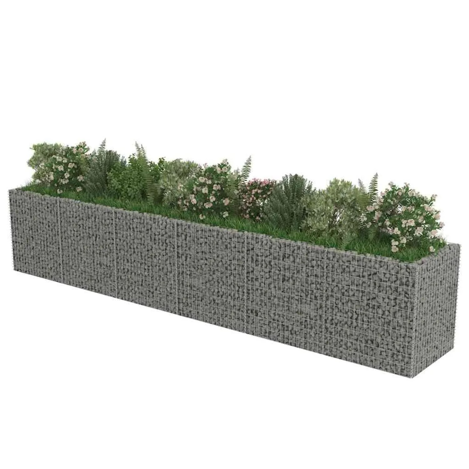 Furnicato Gabionen-Hochbeet aus verzinktem Stahl, 540x90x100 cm, bepflanzt.