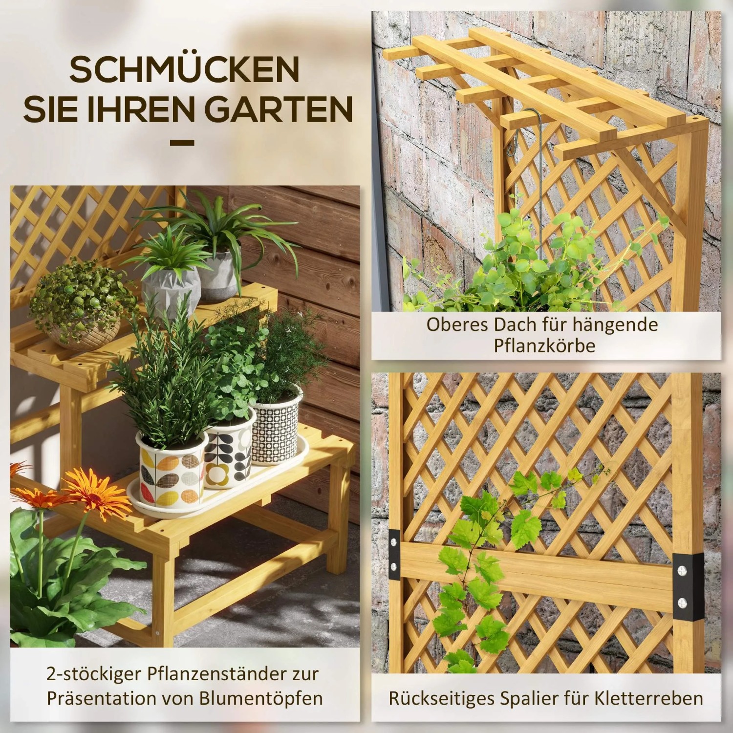 garten deko weihnachten im – Bild kaufen – 12199107 ❘ Gartenbildagentur Friedrich Strauss Farbe:soft berry