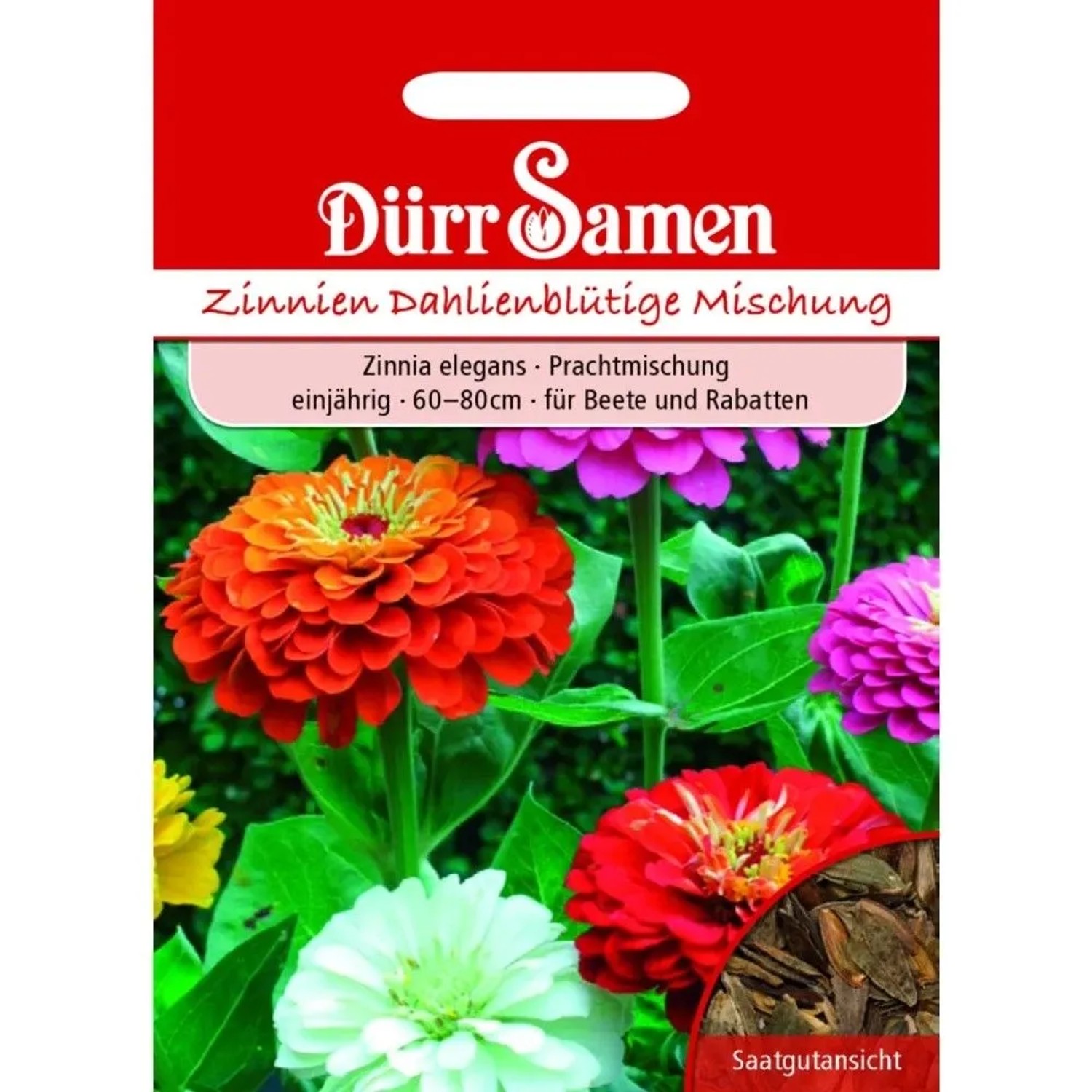 Dürr Samen Zinnien Dahlienblütige Prachtmischung Einjährig Saatgut