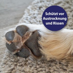 Nahaufnahme einer Hundepfote, die mit Canosept Pfotenpflege vor Austrocknung geschützt wird.