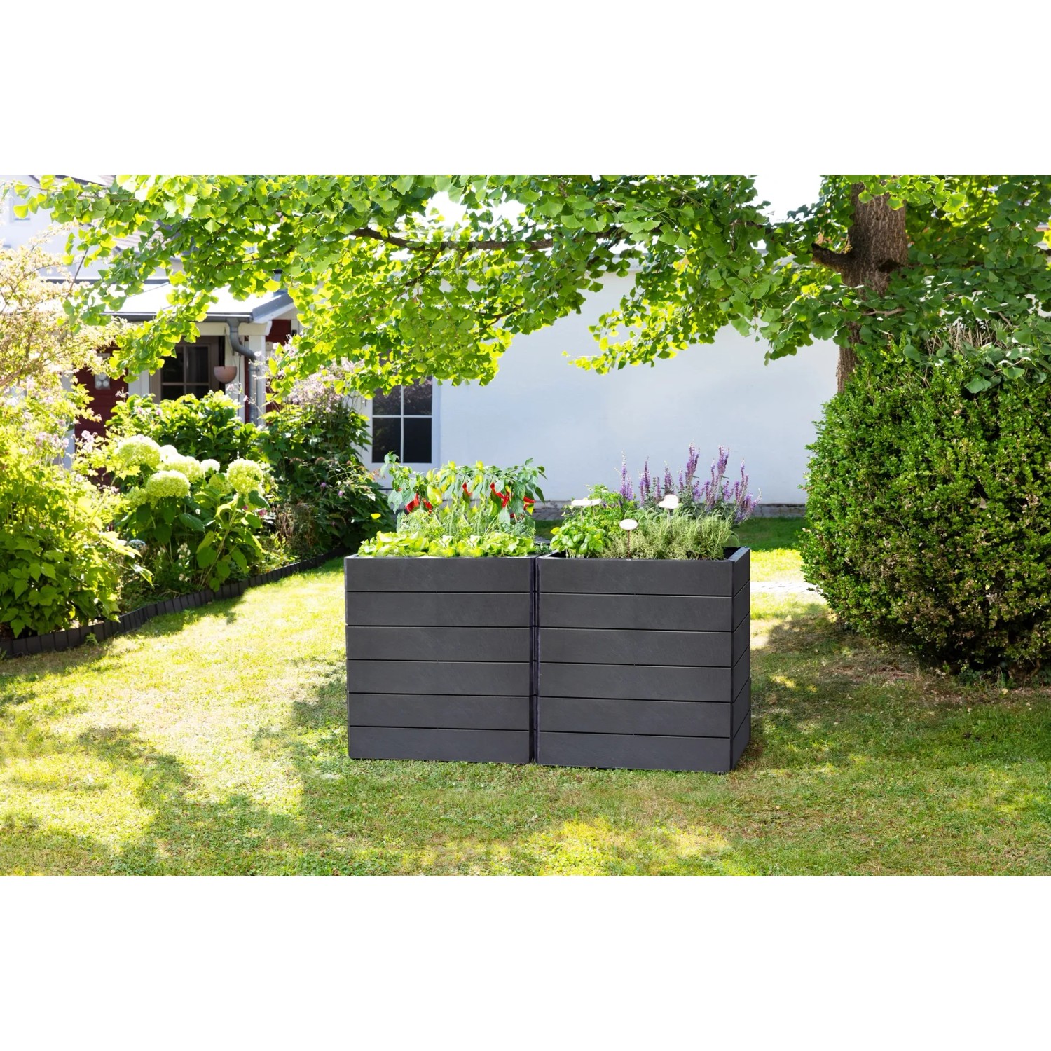 Garantia Hochbeet Ergo Vario 2 Stone im Garten, Kunststoff-Hochbeet mit Bepflanzung.