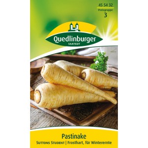 Samenpackung Pastinake 'Suttens Student': Wurzelgemüse für den Freilandanbau.