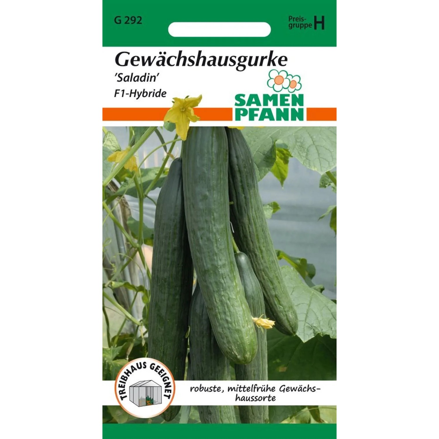 SAMEN PFANN Salatgurke Saladin F1