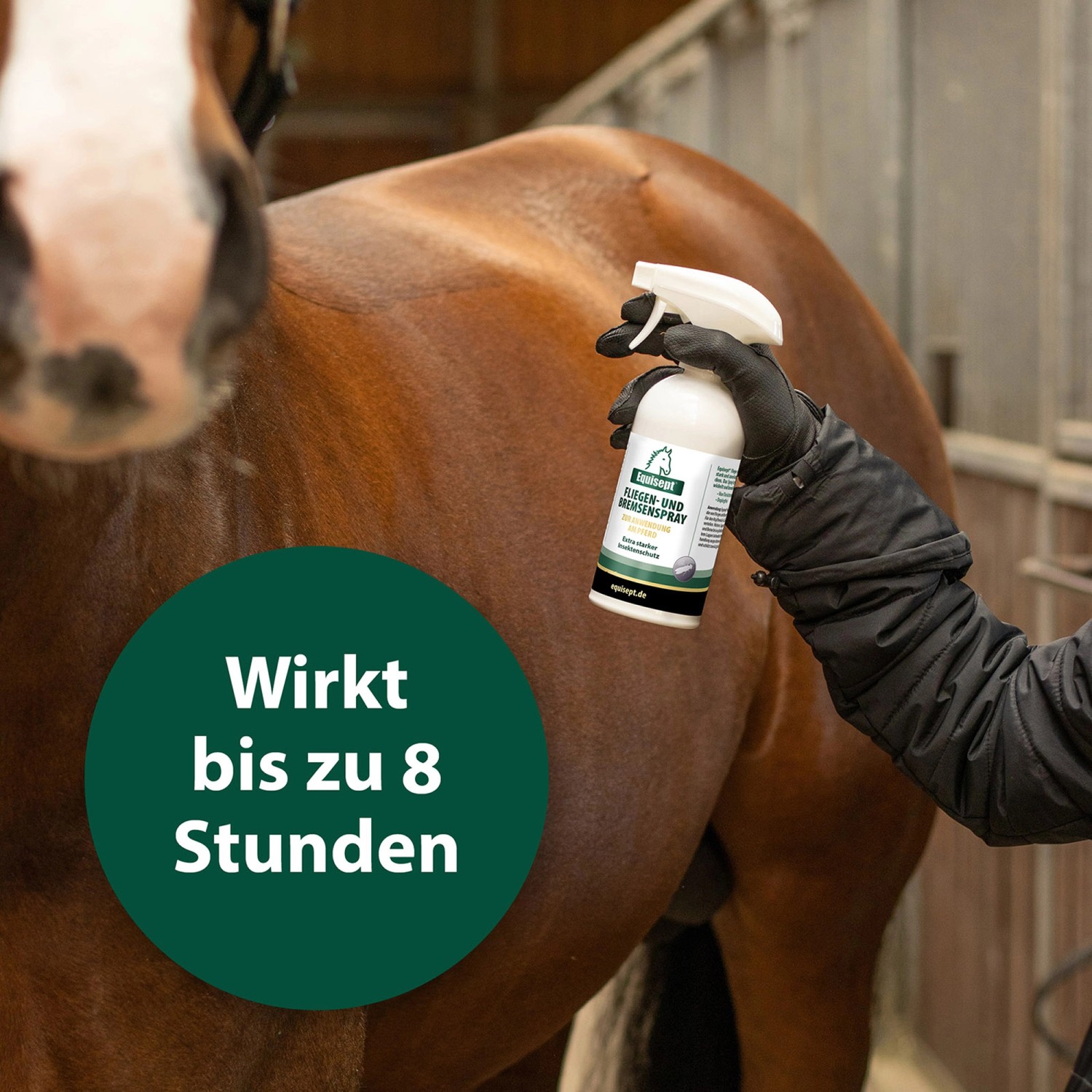 Anwendung von Equisept Fliegen- und Bremsenspray auf einem Pferd. Wirkt bis zu 8 Stunden.