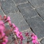 Diephaus Pflastersteine Collo Basalt, gekollert, 21x14x7 cm, für Gartenwege und Einfahrten.