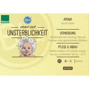 Bio Exotenherz Kraut der Unsterblichkeit (Gynostemma Pentaphyllum) im Topf, Etikett mit Infos zu Aroma und Pflege.