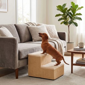 Beige Relaxdays Hundetreppe mit 2 Stufen, Dackel steigt auf Sofa. Praktische Aufstiegshilfe für Haustiere.