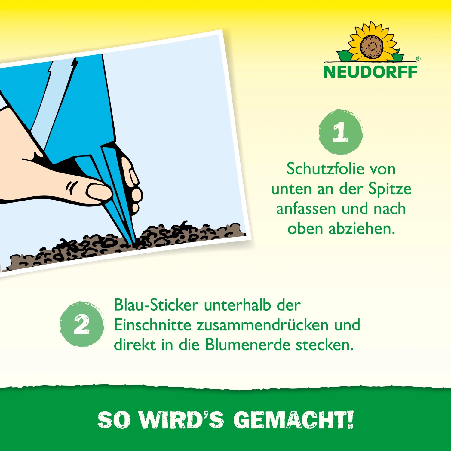Anwendung der Neudorff Blau-Sticker Insektenfalle: Schutzfolie abziehen und in die Erde stecken.