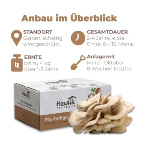 Hawlik Pilzbrut Austernpilz Pilzbeet-Set für Einfache Pilzzucht Im Garten mit Substrat und Myzel inkl. Anbau-Anleitung