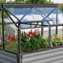 Vitavia Frühbeet Gaia Jumbo, schwarzer Rahmen, mit Pflanzen befüllt. Ideal für Garten & Terrasse.
