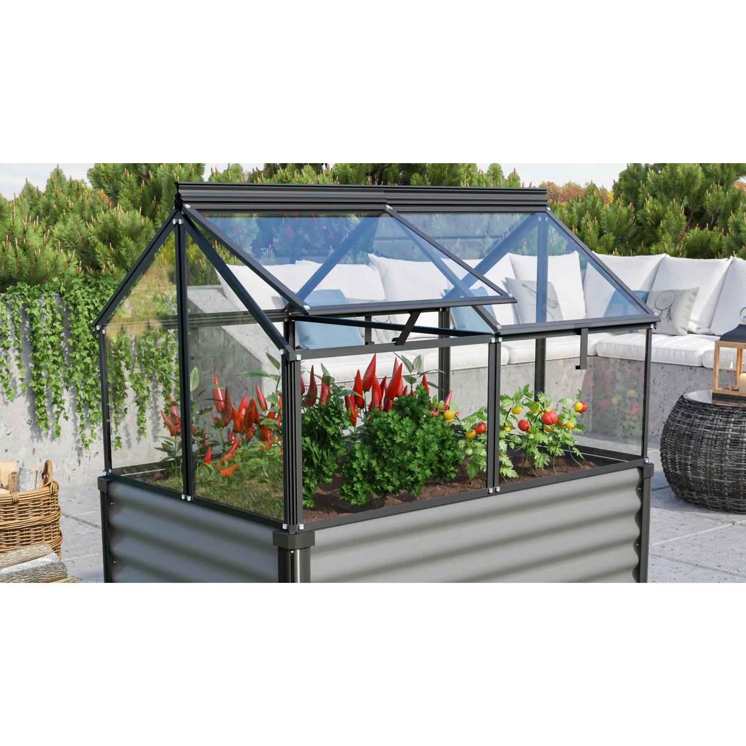 Vitavia Frühbeet Gaia Jumbo, schwarzer Rahmen, mit Pflanzen befüllt. Ideal für Garten & Terrasse.