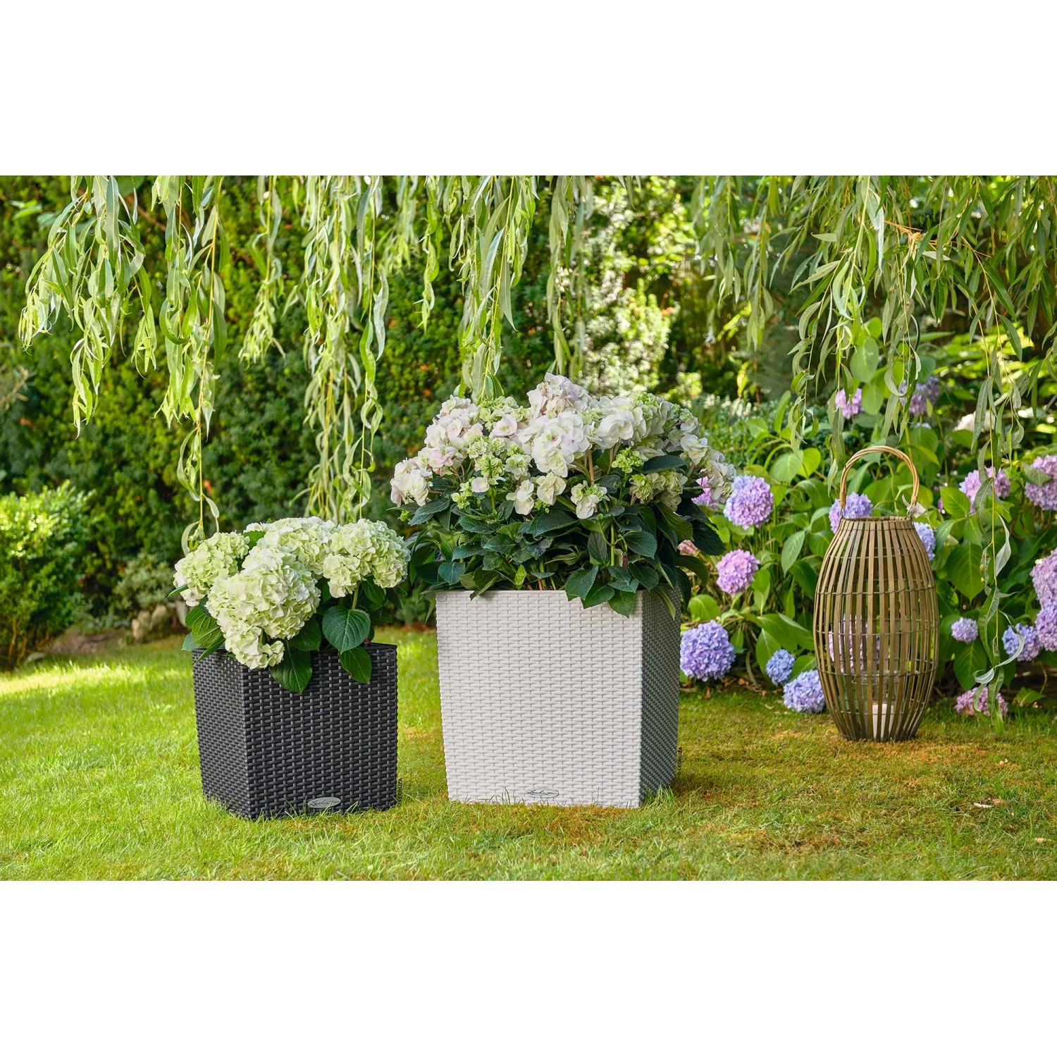 Lechuza Cube Cottage Pflanzkübel, 30cm, Granit und Anthrazit, mit Pflanzen im Garten.