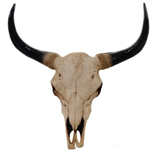 Deko Longhorn Schädel in Natur, detailreiche Wanddeko für Western-Fans.