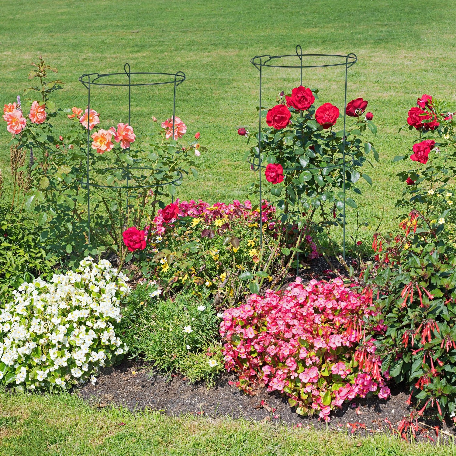 Dunkelgrüne Relaxdays Rankhilfe aus Stahl im Garten mit Rosen, 4er Set.