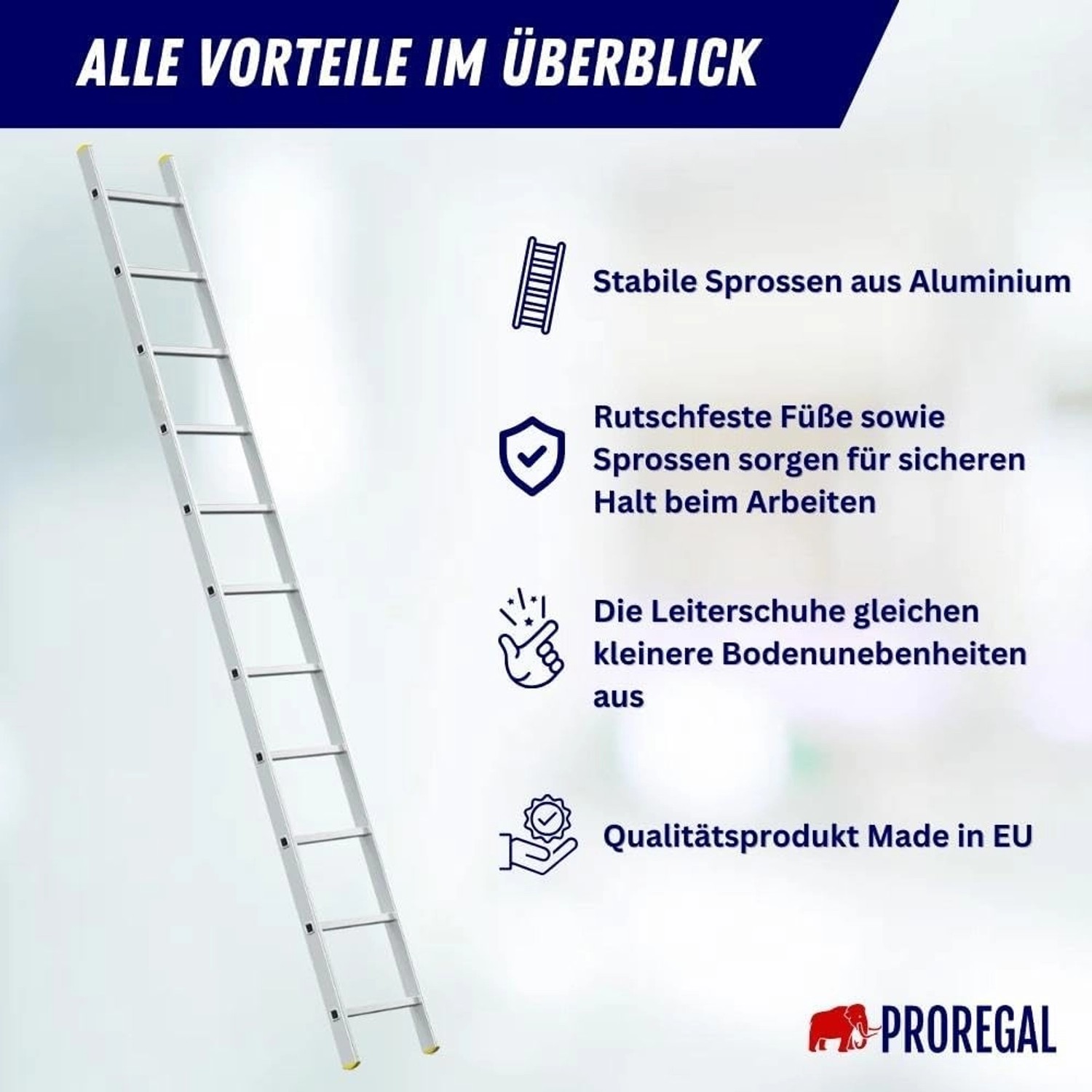 PROREGAL Anlegeleiter Economy Plus mit 11 Sprossen, Arbeitshöhe 3,97m, Traglast 150kg.