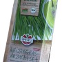 Sperli Bio-Keimsprossen Weizen-Starter-Set für die Anzucht von Weizengras.