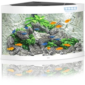 Weißes Juwel Trigon LED Aquarium-Set, 190 l, mit Fischen, Pflanzen und Steinen.