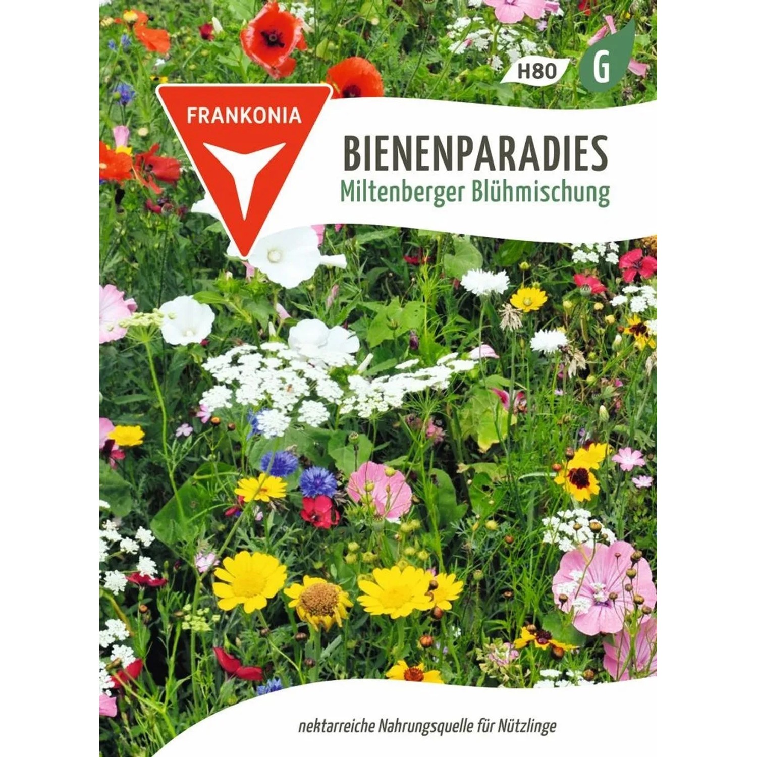 FRANKONIA Bienenparadies Miltenberger Blühmischung günstig online kaufen