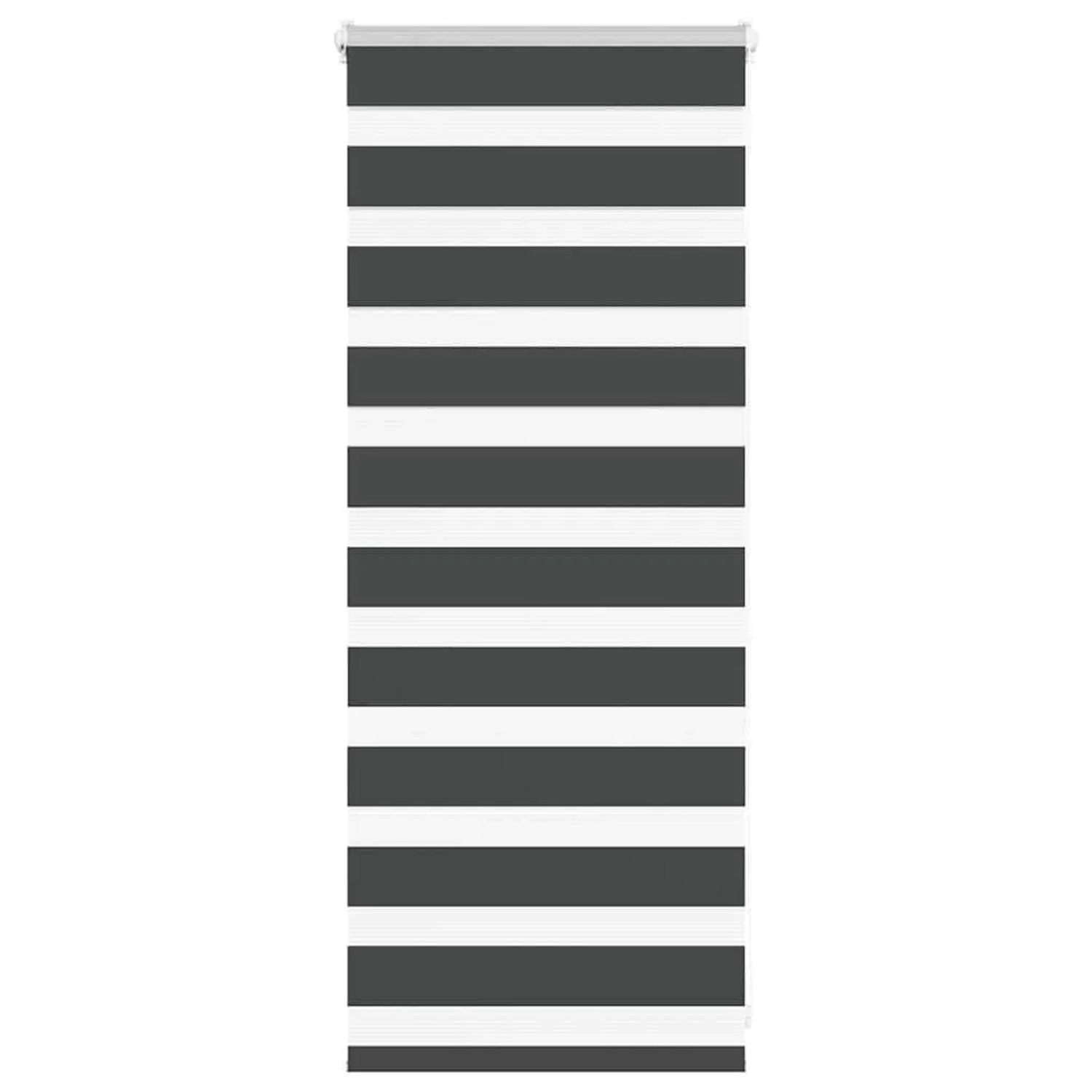 vidaXL Doppelrollo Schwarz 60x100 cm Stoffbreite 55,9 cm Polyester 4014201 günstig online kaufen