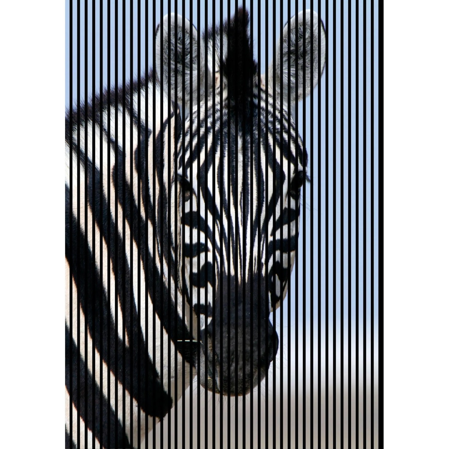 FN Acustico Akustikplatte Zebra 1 PET u. MDF Foliert 1.693 x 19 x 2.400 mm