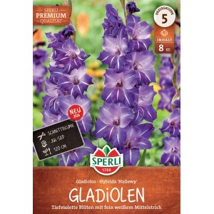 Sperli Blumenzwiebeln Gladiole Hallowy