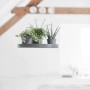 Hängender, grauer Ecopots Untersetzer mit Pflanzen, 36 cm, für Blumenampeln.