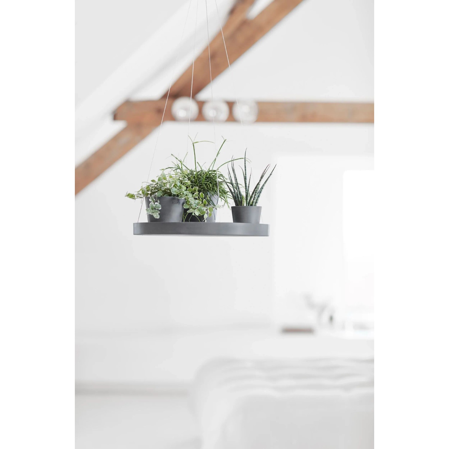 Hängender, grauer Ecopots Untersetzer mit Pflanzen, 36 cm, für Blumenampeln.